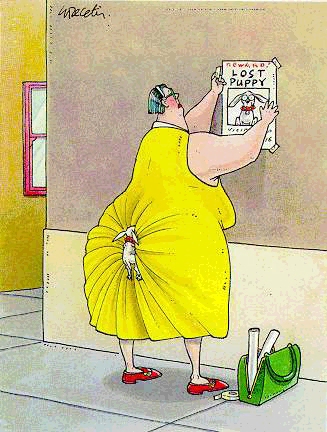 Perdeu-se c�o amoroso