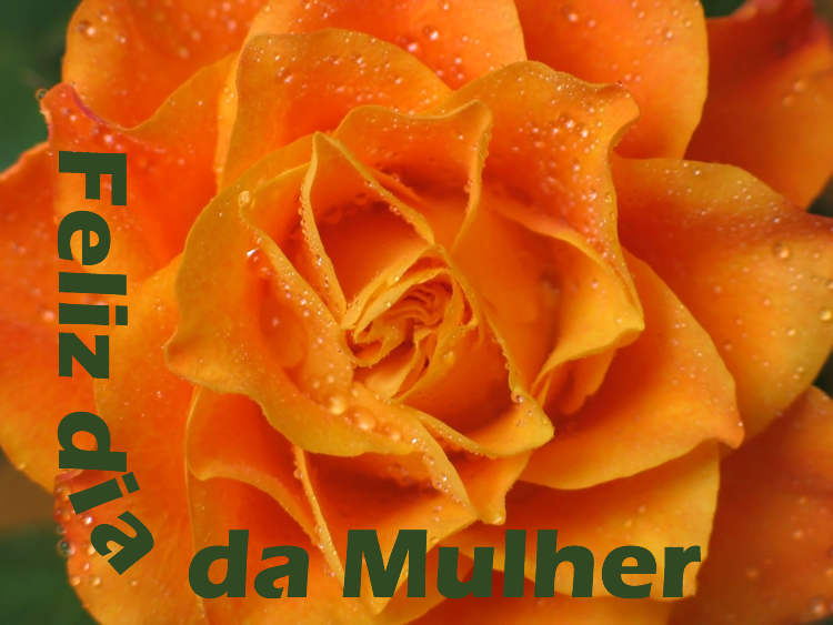 Dia Internacional da Mulher