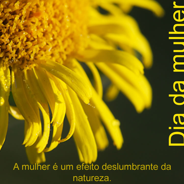 Dia da Mulher