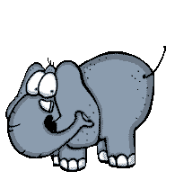 Elefante
