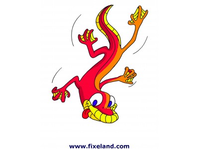 Lagarto contente - Fixeland