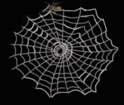 Teia de Aranha