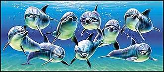Delfins