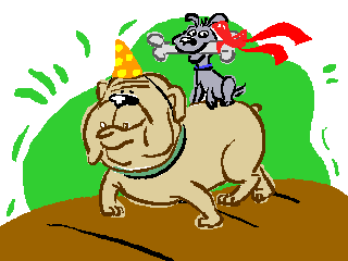 Hoje � o grande dia