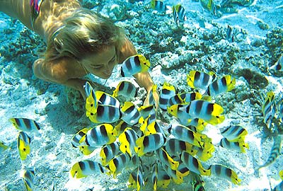 Peixinhos