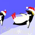 Pinguins na Neve - Postal de Natal 