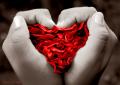 O Coração nas Mãos - Postal de Amor 