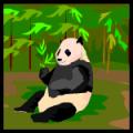 Panda - Postal de Animais 