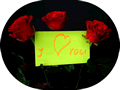 3 Rosas vermelhas - Postal de Amor 
