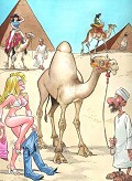 O Camelo Ideal - Postal de Divertimento 