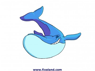 Baleia www.fixeland.com